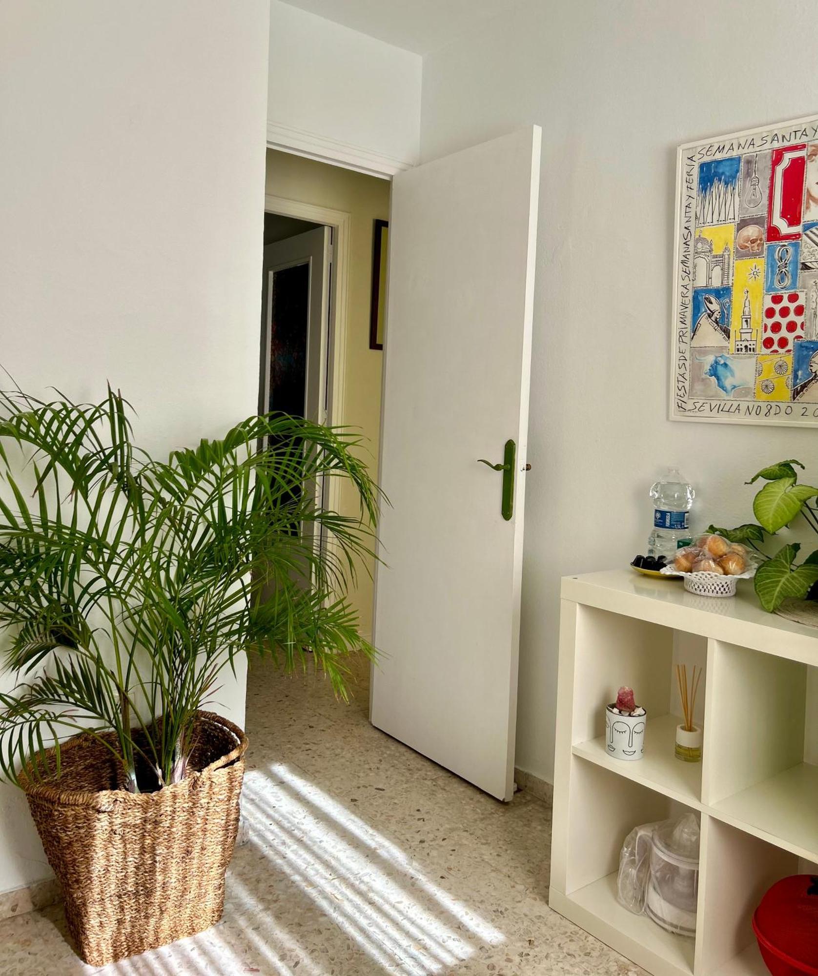 Arco Macarena Apartment Seville Exterior photo