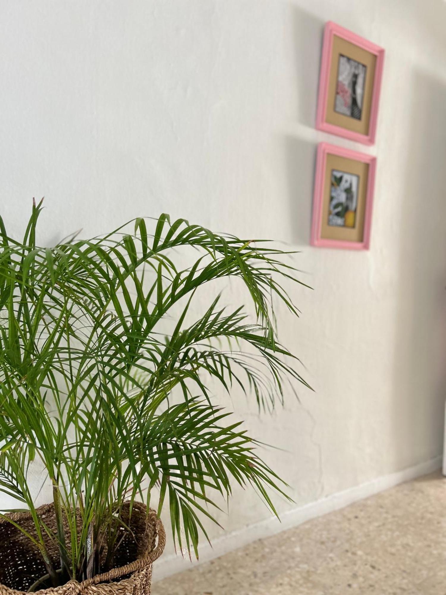 Arco Macarena Apartment Seville Exterior photo