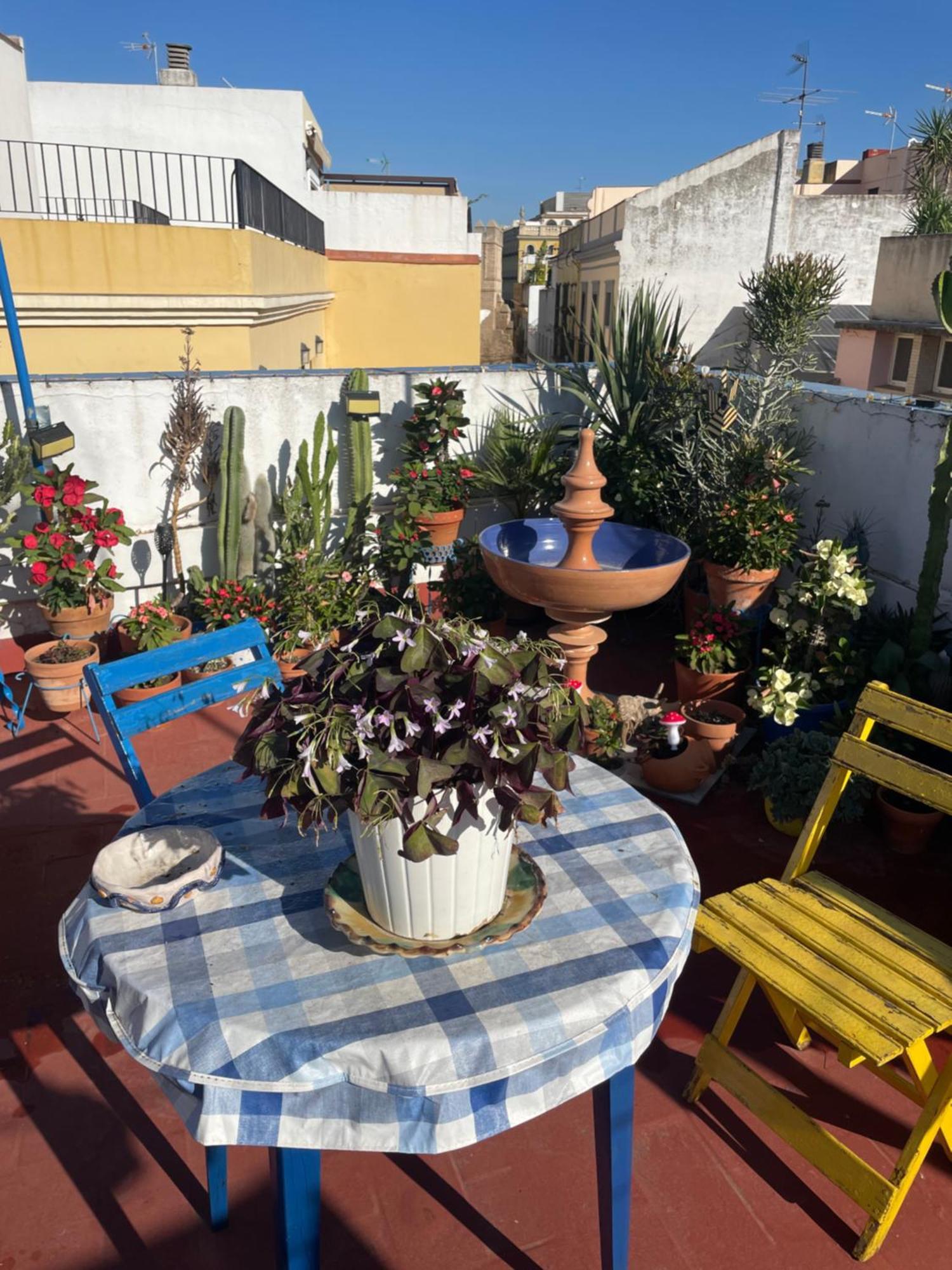 Arco Macarena Apartment Seville Exterior photo